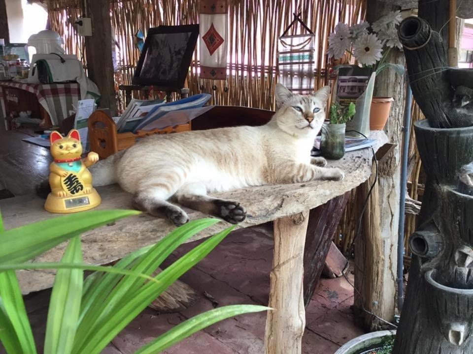 Thai Guesthouse Kanchanaburi by Eksteriør bilde